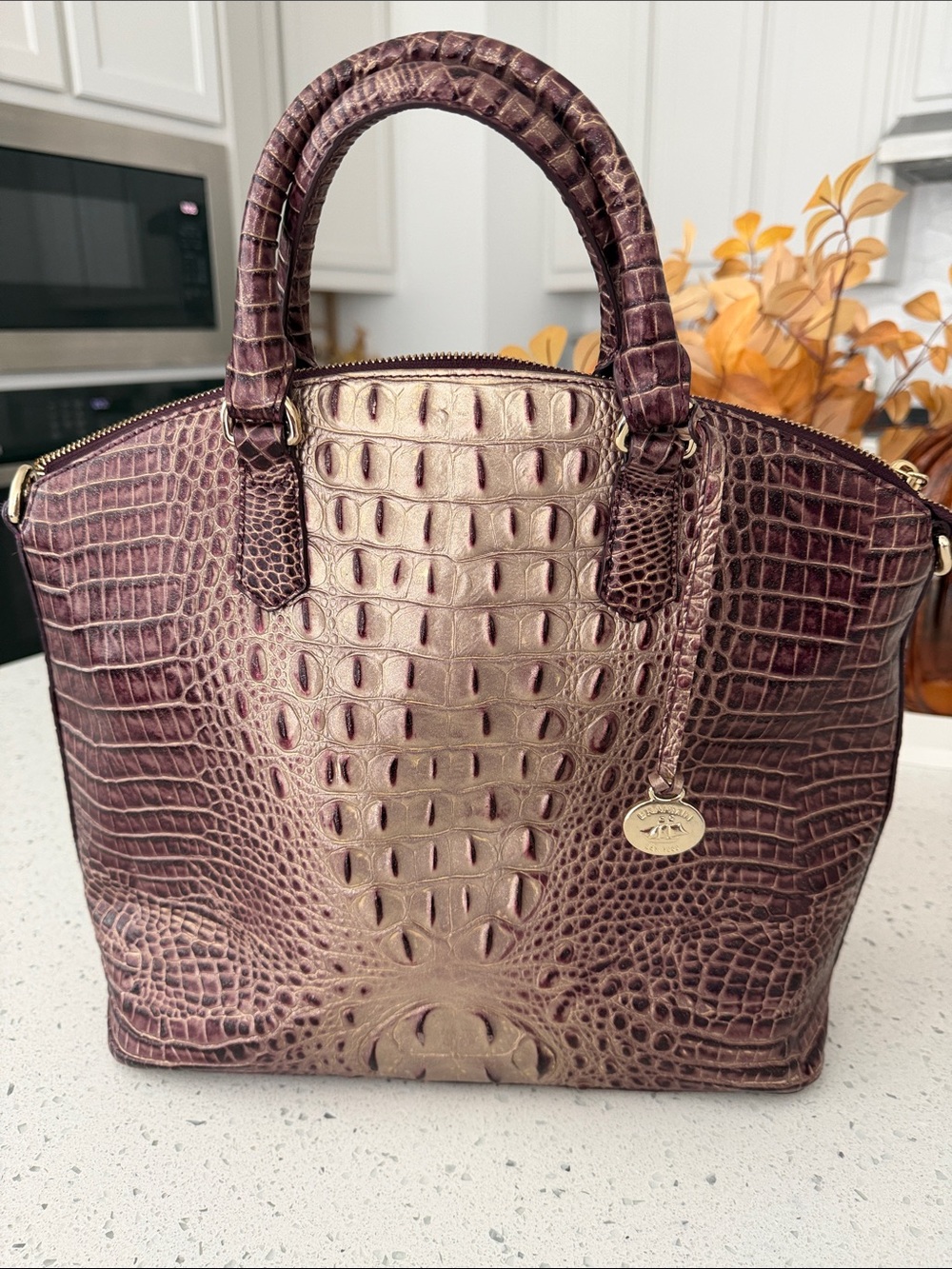 Women's Metallic Brown Croc-Embossed Satchel Bag